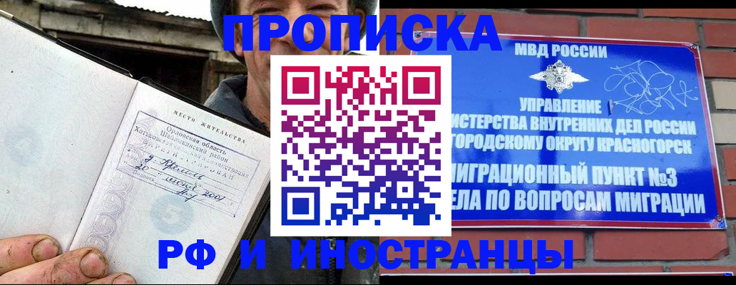 регистрация для школы в Курчалом